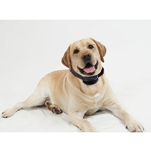 Zacro DC395 Dog No Bark Collar for Bark Control with 7 Levels Adjustable Sensitivity Control, Electric Anti-Bark Shock Collar for Dogs, 15-120 lb, Fits for Large and Medium Dogs (27in)